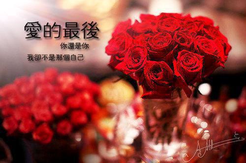 《一个被抛弃的人》宁岚江科无弹窗阅读 宁岚江科小说