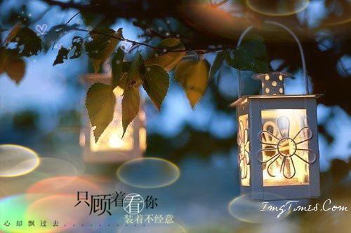 沈微澜苏宛最后结局 沈微澜苏宛完结版免费阅读
