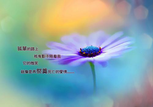全本雅慕结岁司秦栀谢礼完篇叶（谢司礼,叶慕栀,秦岁雅）最新章节列表_全本雅慕结岁司秦栀谢礼完篇叶全文阅读