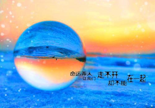 风起风浪小说小说 谢成则李牧阳在线阅读第1章