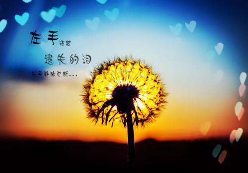 顾时砚黎浅大结局免费阅读 顾时砚黎浅全文小说