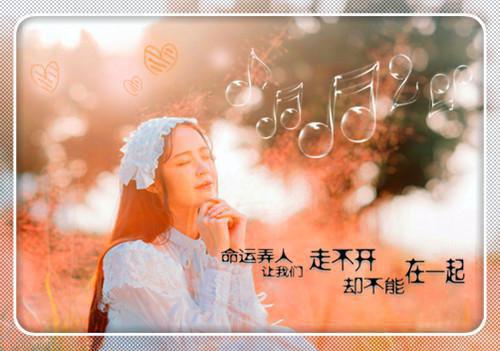 舒灵叶心悠小说章节免费阅读 舒灵叶心悠无弹窗