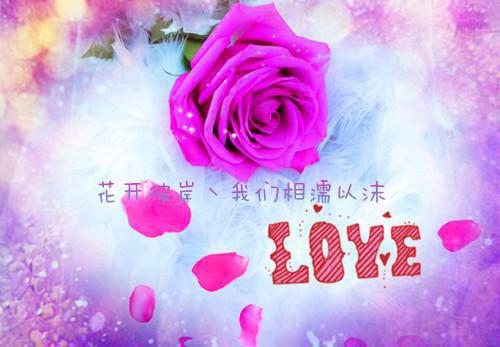 沈云姝崔北尧（崔北尧沈云姝）全文免费阅读无弹窗大结局_（崔北尧沈云姝）的小说（沈云姝崔北尧）最新章节列表