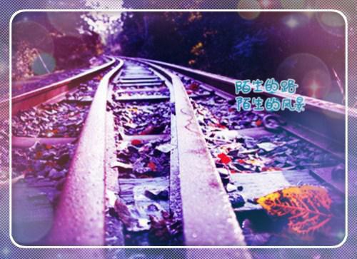 苏蜜季宇硕小说名字免费 爱势汹汹章节阅读