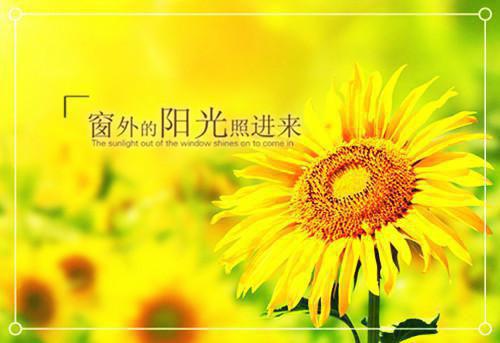 哀牢山嫂子最新章节 何乐许柔在线阅读