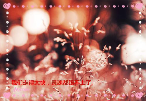 舒叶心薄言凛全文最新章节正版小说免费阅读