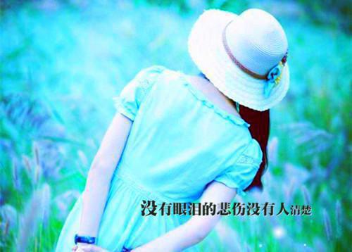 孙虎赫连迟小说名字 抛啊抛绣球无删去广告精彩章节手机内在线试读