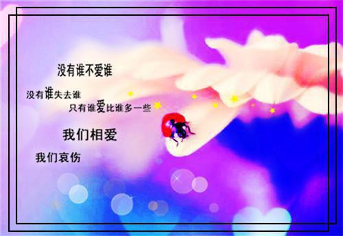 陆皎月顾修凛最后结局 陆皎月顾修凛完结版免费阅读