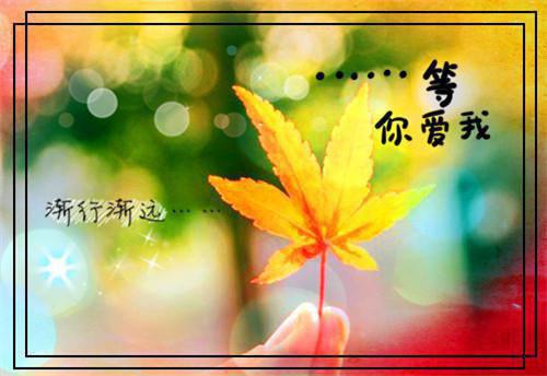迟冬不赴春全文+番外+无弹窗(安以夏盛司聿）全文免费阅读无弹窗大结局_迟冬不赴春全文+番外+无弹窗最新章节列表（迟冬不赴春全文+番外+无弹窗）
