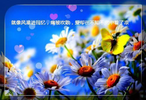 当时只道是寻常结局+番外（温予慈裴言澈宋星野）全文免费阅读无弹窗大结局_(当时只道是寻常结局+番外)当时只道是寻常结局+番外最新章节列表（温予慈裴言澈宋星野）