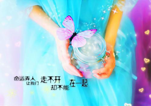 梁晨刘眉沈念赵雅是什么小说 梁晨刘眉沈念赵雅全本免费阅读