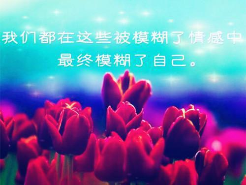 哑女被白月光诬陷绑架后，凌总火葬场了全文目录 凌谨言艾长青安沫然小说免费阅读无广告