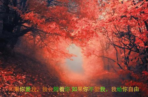 饥充能饼画真最新小说（匿名）全文阅读