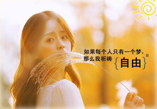 周川陆洵小说叫什么名字 周川陆洵全文免费阅读