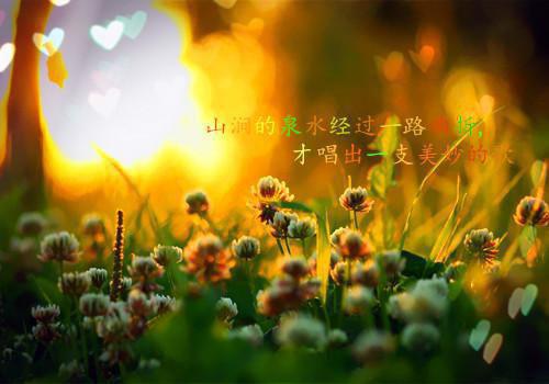 梵姬凌风玄冰免费阅读第1章 梵姬凌风玄冰大结局