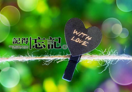 《爱已成灰免费阅读》小说在线阅读 《爱已成灰免费阅读》最新章节列表