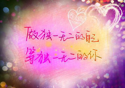 江照悬是啥小说 江照悬免费阅读无广告
