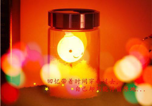 白庭月宋执完结版全本免费阅读 发嗲章节列表