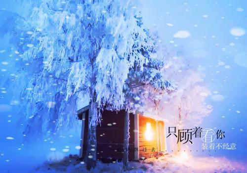 惊蛰冯惊蛰徐瑾最新章节在线阅读