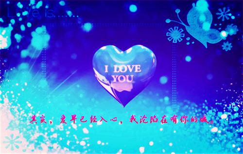 许毓晚贺啸野免费小说 许毓晚贺啸野全文阅读目录