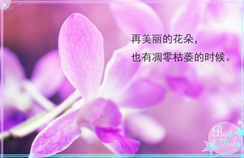 裴时洲温简清最新（裴时洲温简清 ）全文免费阅读无弹窗大结局