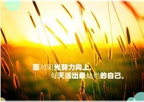 姜黎顾云洲林樾免费小说 姜黎顾云洲林樾全文阅读目录