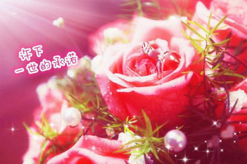 重生打脸领导和私生女小说 贾楠王洁在线阅读第二章