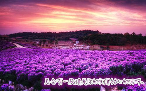 夺命美人皂林泽小音(APP内全文阅读)完结版