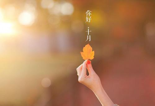 连草季阮昭陵（连草季阮昭陵）全文免费阅读无弹窗大结局_连草季阮昭陵全文免费阅读（连草季阮昭陵）最新章节列表（连草季阮昭陵）