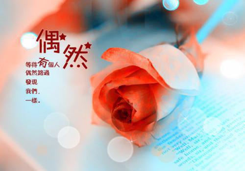 妻子五一团建去落华山庄结局在线阅读 姜迟顾如烟林子顾如宇完整版免费小说
