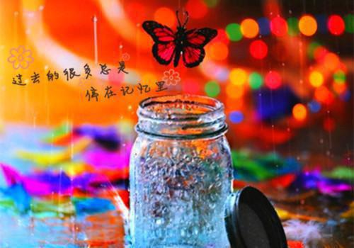 夏风廖冰卿小说名字叫什么 官场宏图免费在线阅读