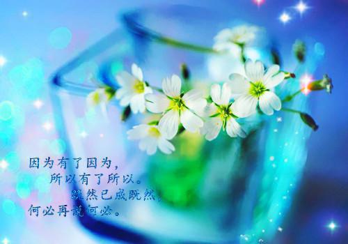洛洛沈凌渊林安安闺蜜用财富交换我的病娇男友小说完结在线阅读