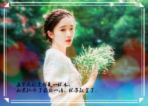 主角顾衍赵安妮苏玮小说免费阅读最新章节