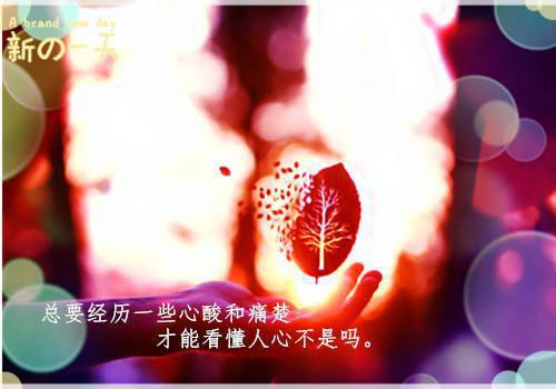 姜安圆周辞柏全文免费大结局 姜安圆周辞柏小说在线阅读