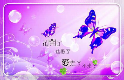 孟云裳陆宸骁是什么书 孟云裳陆宸骁免费章节在线阅读