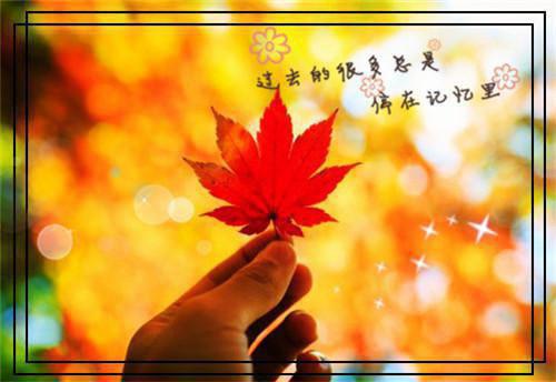 沈清月裴知宴全文阅读 沈清月裴知宴小说最新章节
