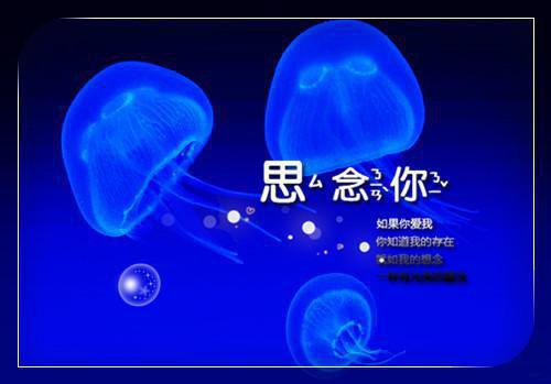 江然宋致沈萱小说章节目录 江然宋致沈萱免费阅读