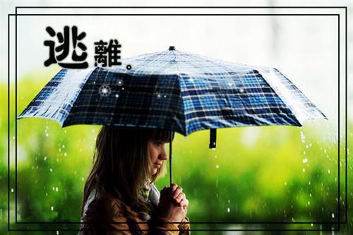 虞婉霍京烨大结局免费阅读 虞婉霍京烨全文小说
