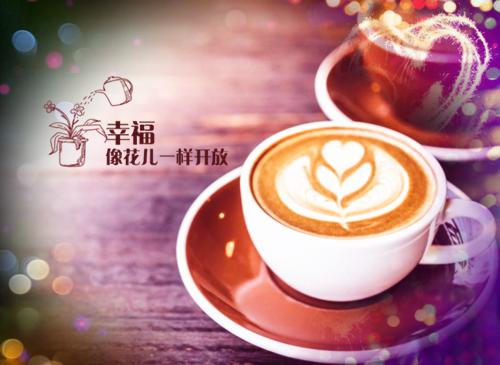 可薇陆时昂徐婉小说在哪里看 可薇陆时昂徐婉在线阅读第5章