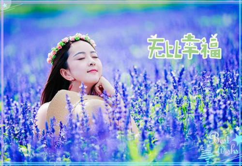 落日散尽余晖：结局+番外+完结（林意秋贡巴平措）全文免费阅读无弹窗大结局_落日散尽余晖：结局+番外+完结最新章节列表（林意秋贡巴平措）