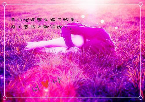 我寻你千百度：全文+后续（尹落笙贺清珩结局+番外）全本小说免费章节阅读_我寻你千百度：全文+后续最新章节列表（尹落笙贺清珩结局+番外）