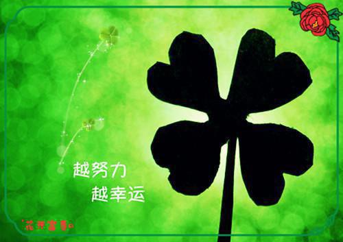 小夏子宋欢欢小说在线阅读 小夏子宋欢欢最新章节目录