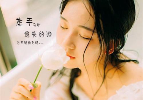 (完整版)宋寒章温沁小说免费阅读无广告