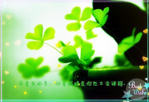 爱的位，小到莫情您已姐全文小说匿名小说在线阅读
