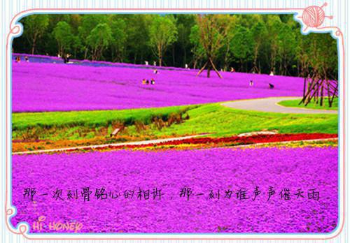 乔未盈沐沐小说名字 爸妈火灾中只救假千金，我离开后他们疯了无删去广告精彩章节手机内在线试读