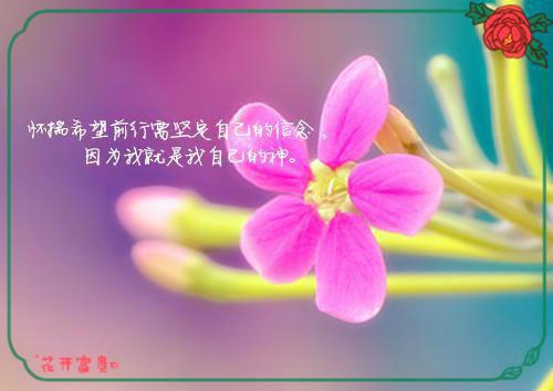 不要彩礼，倒贴婚房，我以为我嫁给了爱情小说全文 陈莉沈伟齐芊芊无删减无弹窗阅读