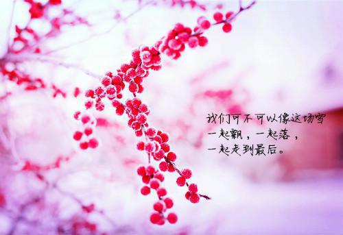 沈知晚秦琰小说 沈知晚秦琰免费章节阅读