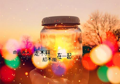 林江篱霍辰玺完整未删减版在线阅读 林江篱霍辰玺结局