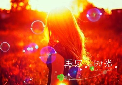 许时辰沈宁鸢周怀野是什么小说的主人公 许时辰沈宁鸢周怀野免费阅读