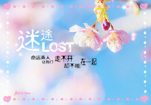 打女爆改虐文小说 苏珍珠侯礼谢江晓维在线阅读